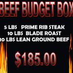 



FREEZER PACKAGE BEEF BUDGET BOX
